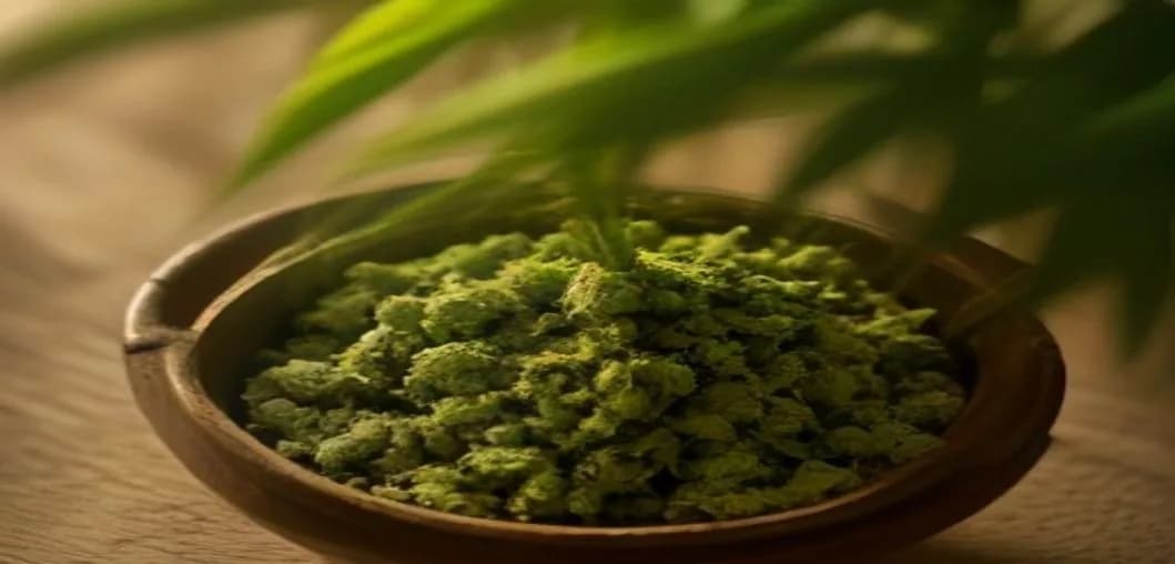 Bhang in India: Complete Ayurvedic & Legal Guide