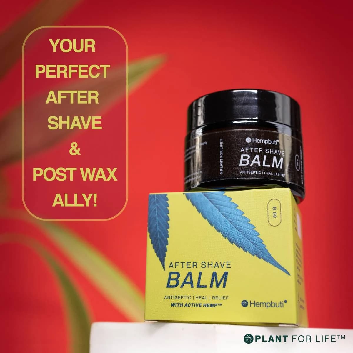 HEMPBUTI |  AFTER SHAVE BALM | 50 GM