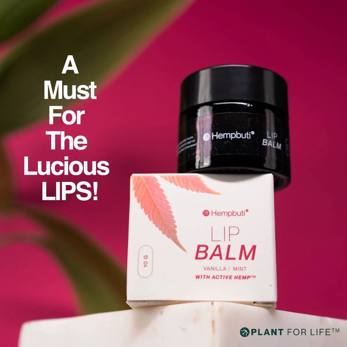 HEMPBUTI | LIP BALM | 10 GM