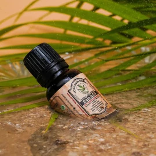 PainAid External: Heavy Pain, Arthritis, Joint Pain  | 15ml