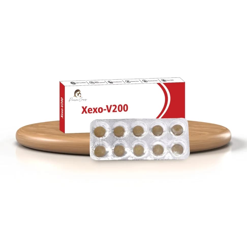 Xexo- V200 (For Vitality & Vigour)