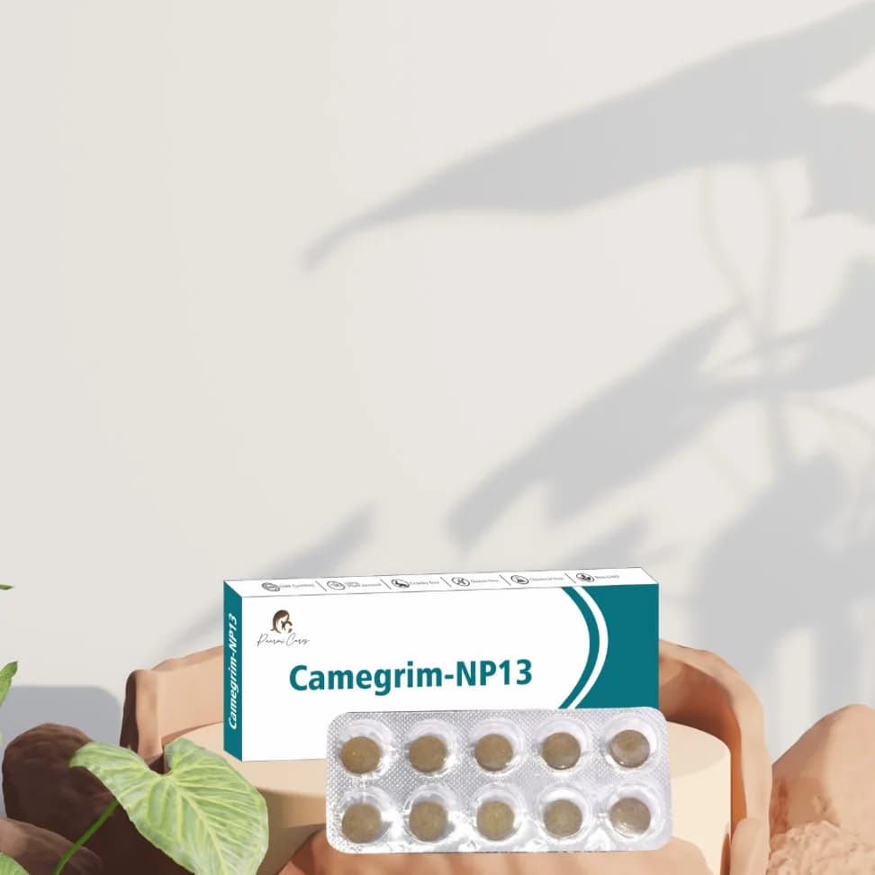 Camegrim-NP13 (For Migraine)