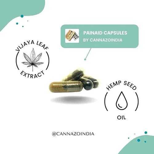 Pain Aid Capsules - For chronic pain, sleep, anxiety/10 Capsules - Cannazo India