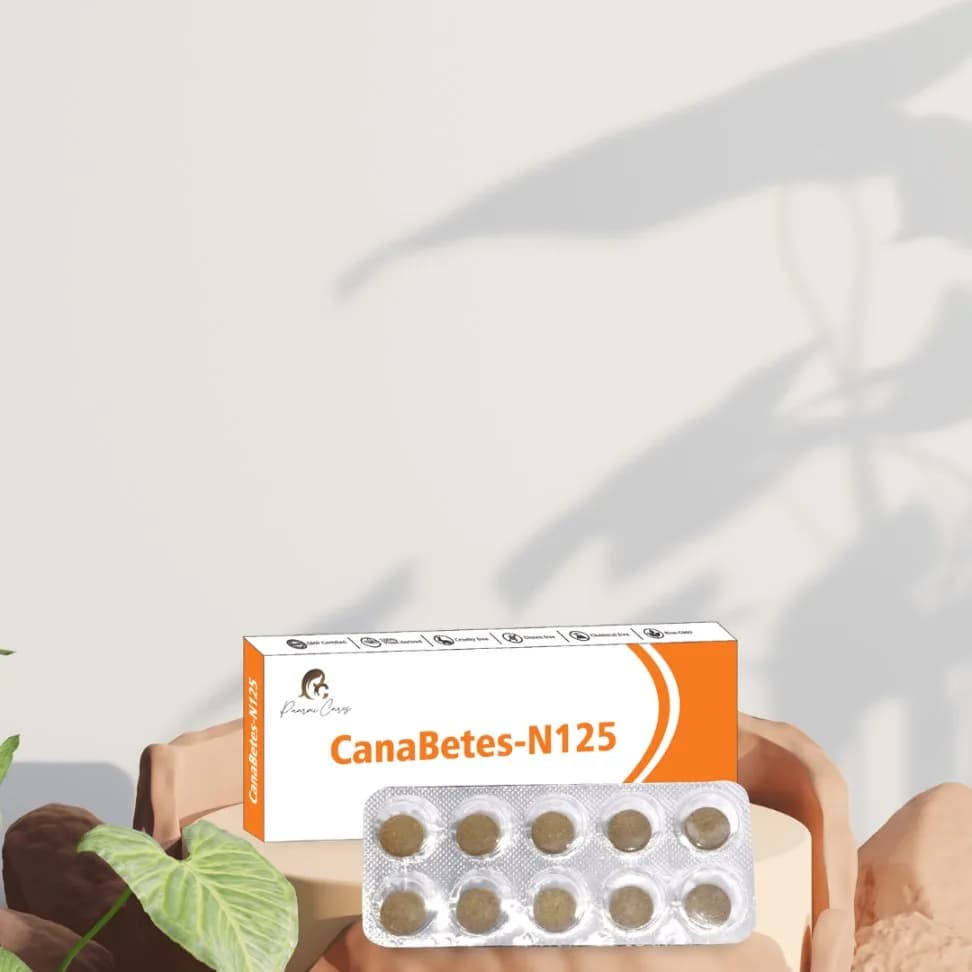CanaBetes-N125 (For Diabetes)