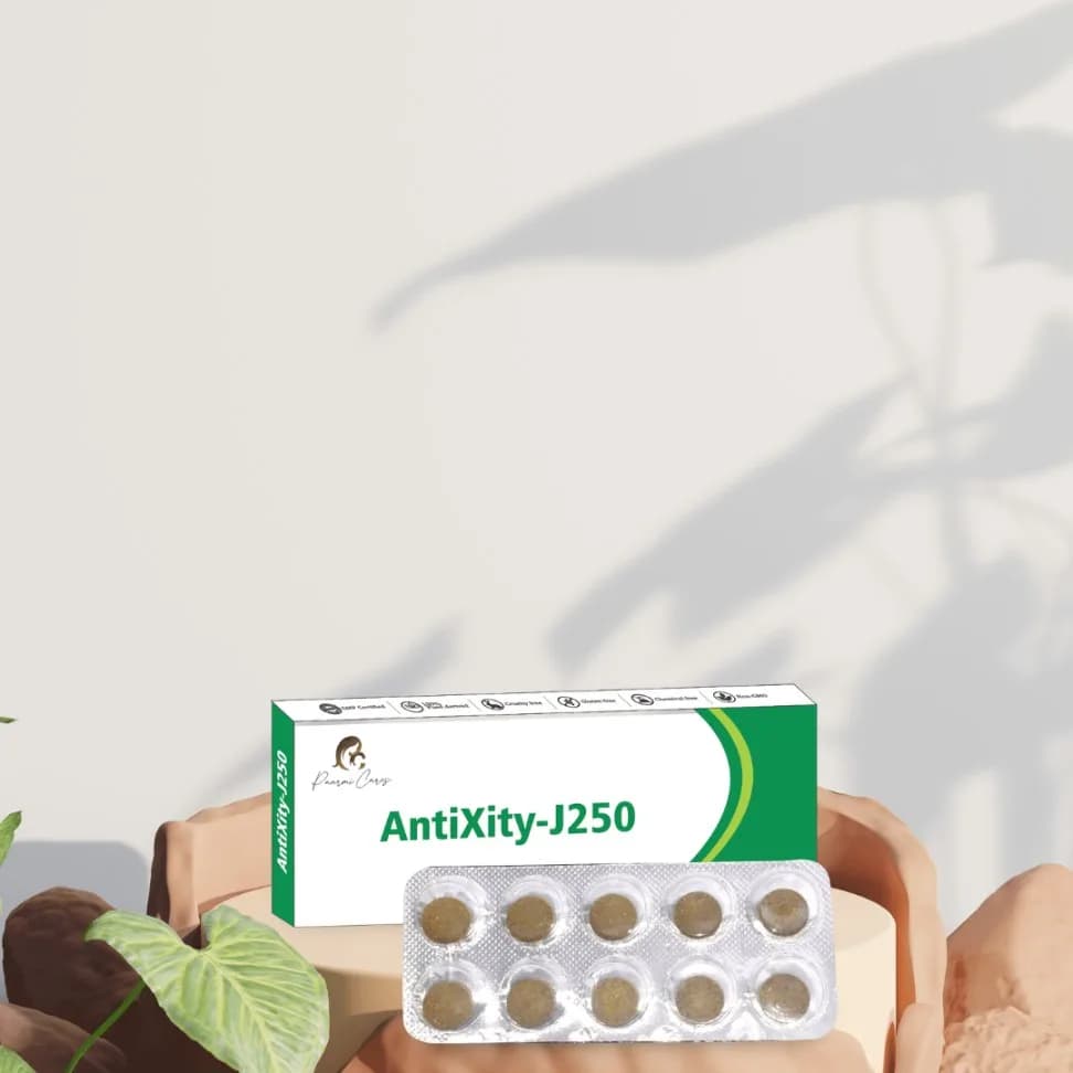 AntiXity-J250 (For Anxiety)
