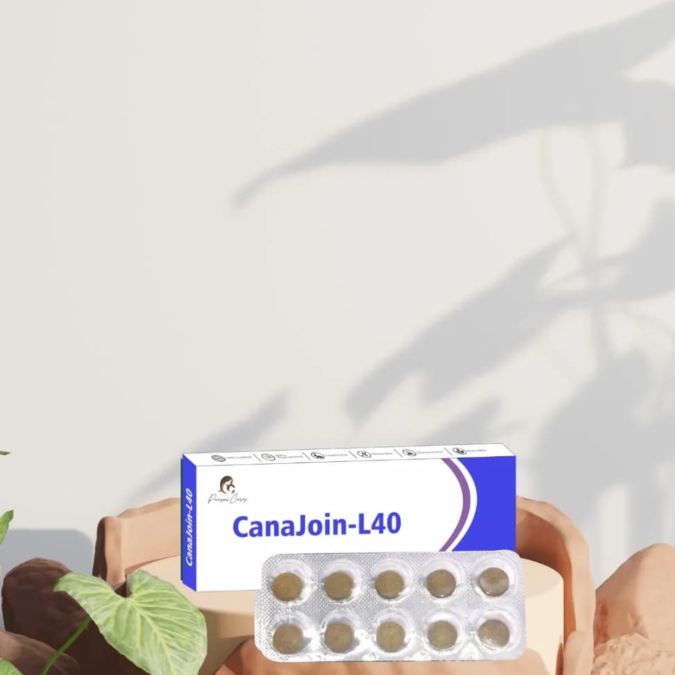 CanaJoin-L40 (For Rheumatic Pain)