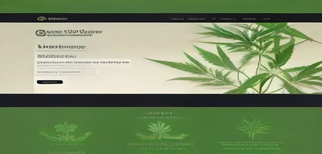 Cannabis Dispensary Near Me India: Complete Guide to Finding & Ordering Vijaya Extract