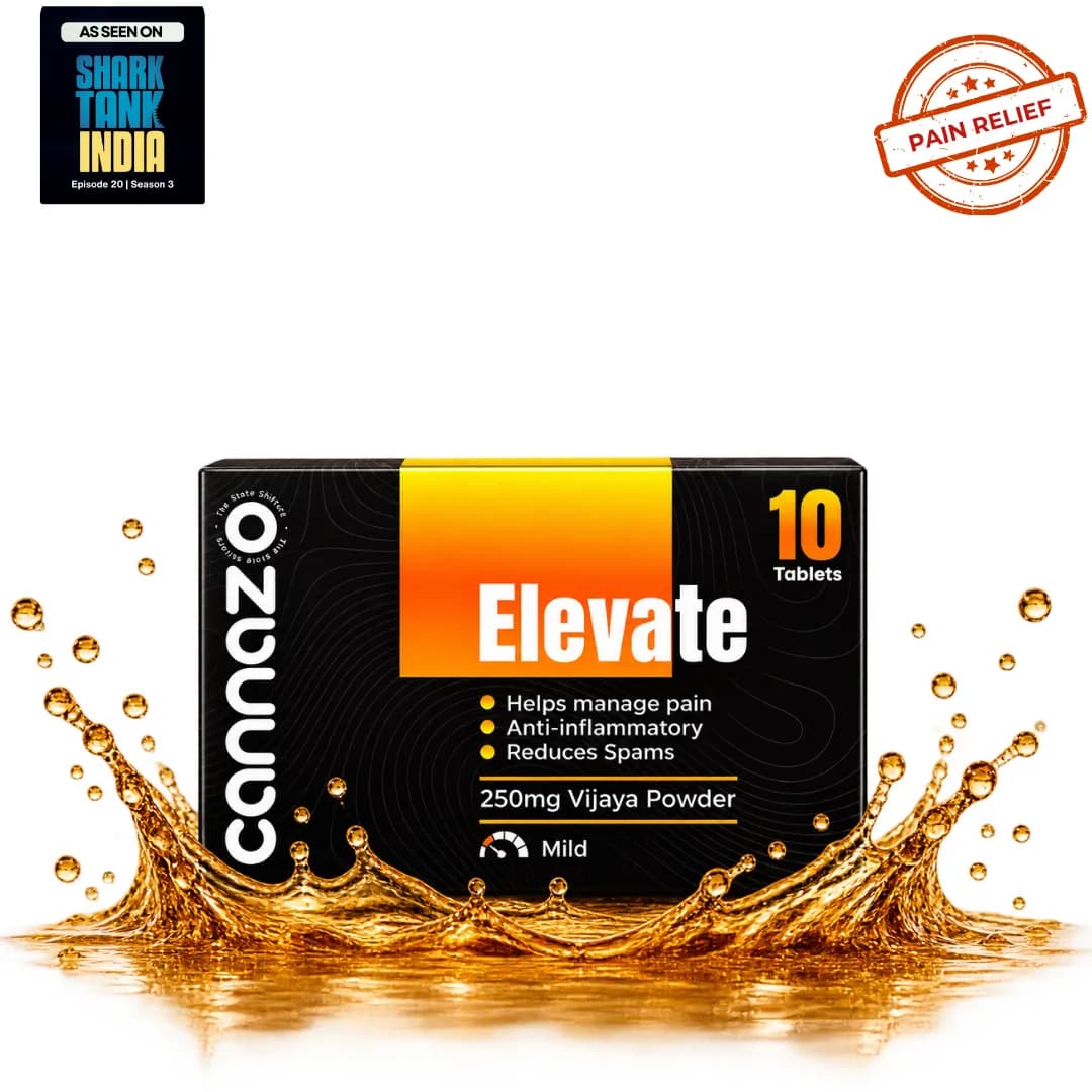 Elevate Pain Tablets | 500mg Potency | 250mg Vijaya Powder Pain Tablets β Natural Support for Mild to Moderate Pain, Joint Pain & Inflammation β image 1 of 5